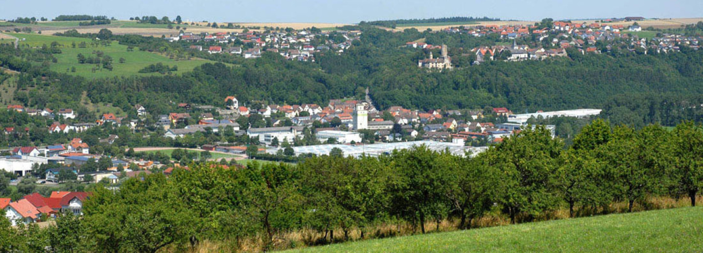Blick auf Krautheim von der Anhöhe aus. Im Vordergrund sind Bäume und eine Wiese, im Hintergrund sieht man zwei weitere Ortschaften hinter einem Wald.