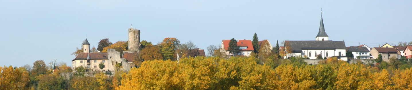 Die Skyline von Krautheim, vom Tal aus betrachtet. Links sieht man die Burg, in der Mitte ein Wohnhaus, rechts die Kirche. Unter der Szenerie ist Wald, oben der wolkenlose Himmel.