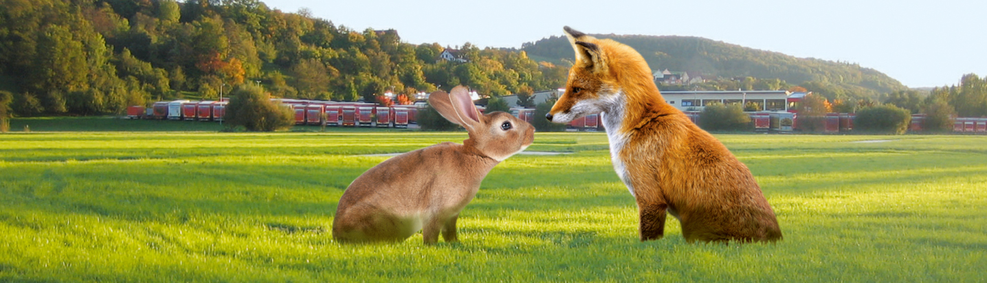Eine Fotomontage: Links sitzt ein Hase, rechts sitzt ein Fuchs. Beide sehen einander an und scheinen sich zu unterhalten. Hinter einer sehr großen Wiese sieht man im Hintergrund die Spedition.