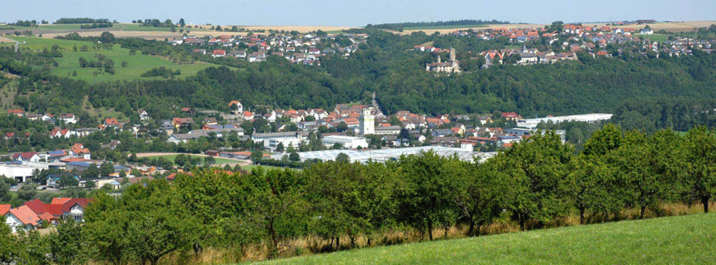 A view of Krautheim from the neighboring hill. In the background is forest and two other communities. In the foreground is a meadow and trees.